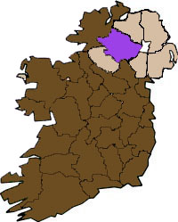 County Tyrone Flag